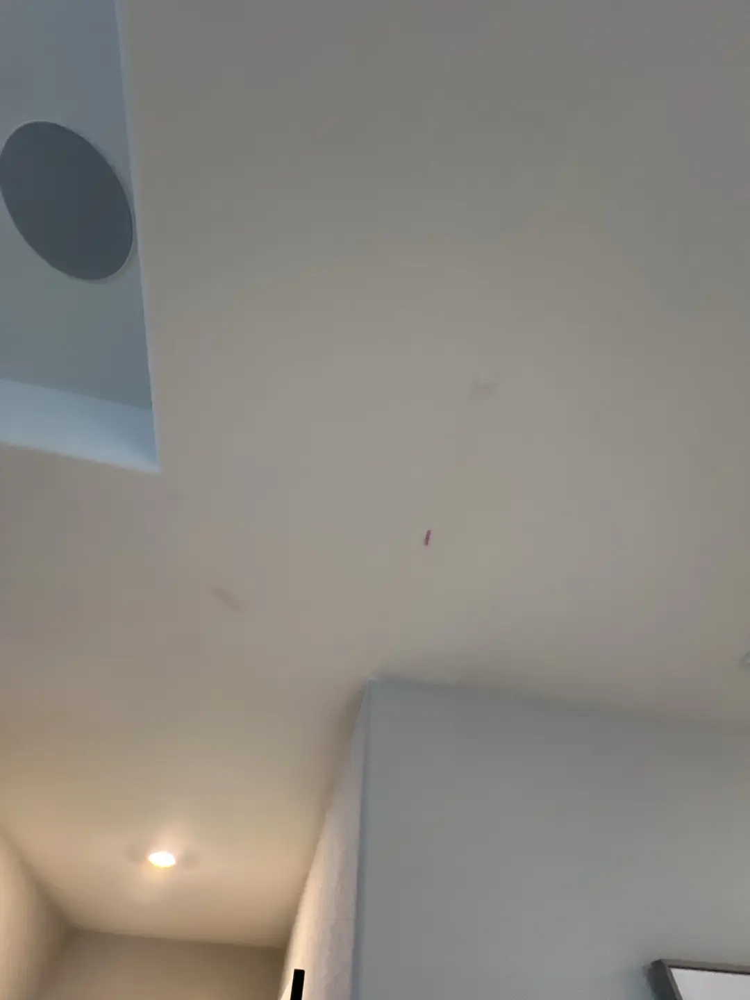 Ceiling Crack Repair in Allen