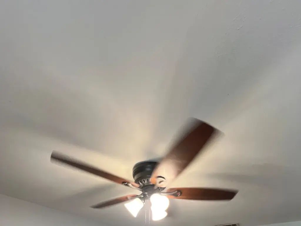 Bathroom Sink Reset and Ceiling Fan Repair