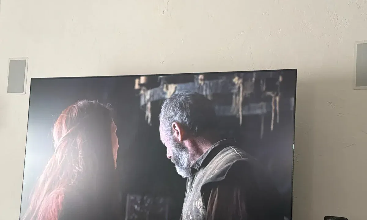 A large television mounted between built-in wall speakers.