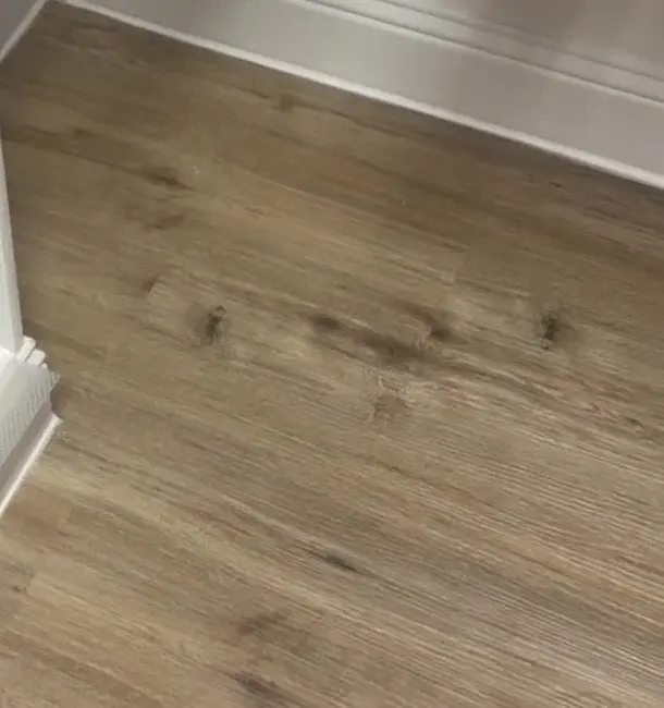 Closet Vinyl Flooring Replacement