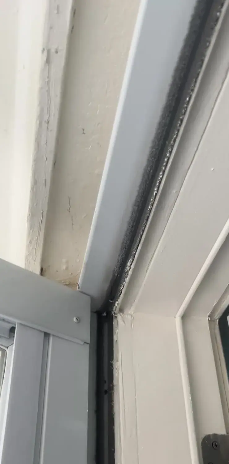 Door Trim Replacement and Painting