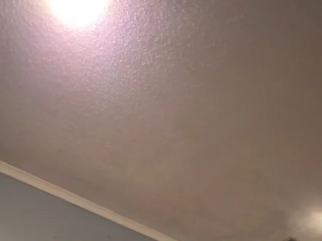 Ceiling patch, texture and paint