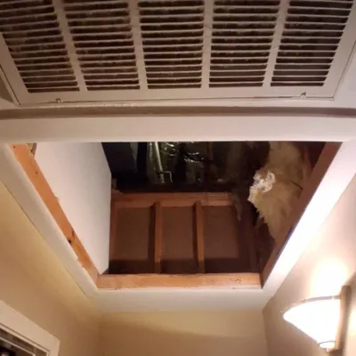 Attic Access Door and Ladder Installation — gallery image 1