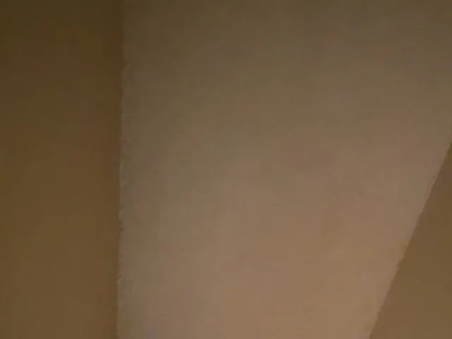 Ceiling Patch and Texture Repair