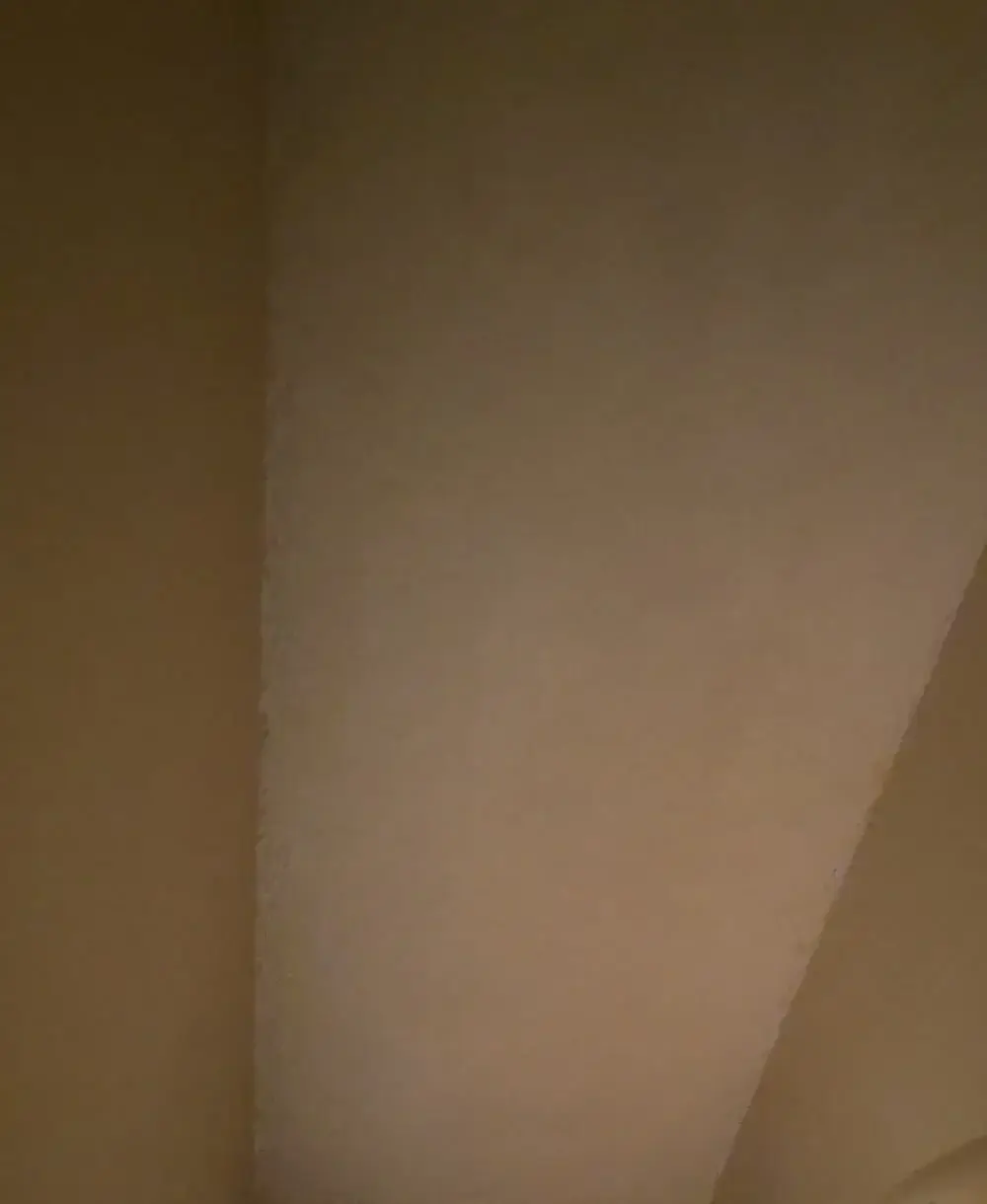 Ceiling Patch and Texture Repair