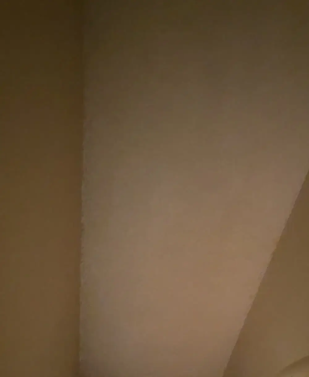 Ceiling Patch and Texture Repair in Mesquite
