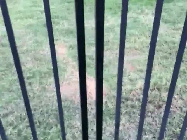 Double Gate Latch Adjustment