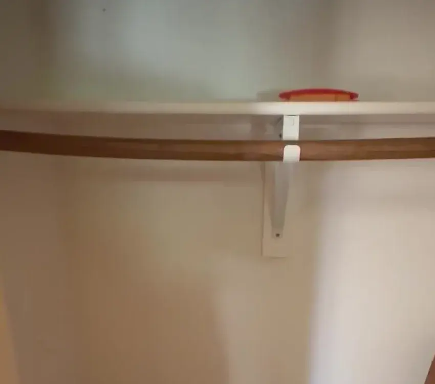 Closet Shelf and Door Replacement