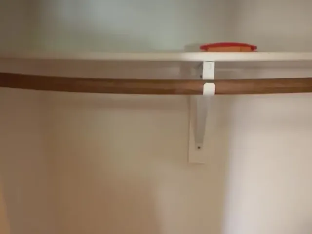 Closet Shelf and Door Replacement