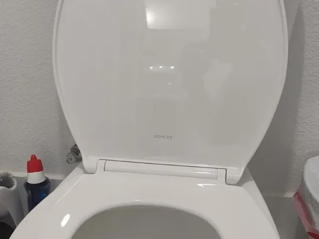 Toilet Seat, HVAC Filter, and Garage Trim Repairs