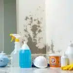 Black mold on drywall with cleaning supplies in front.