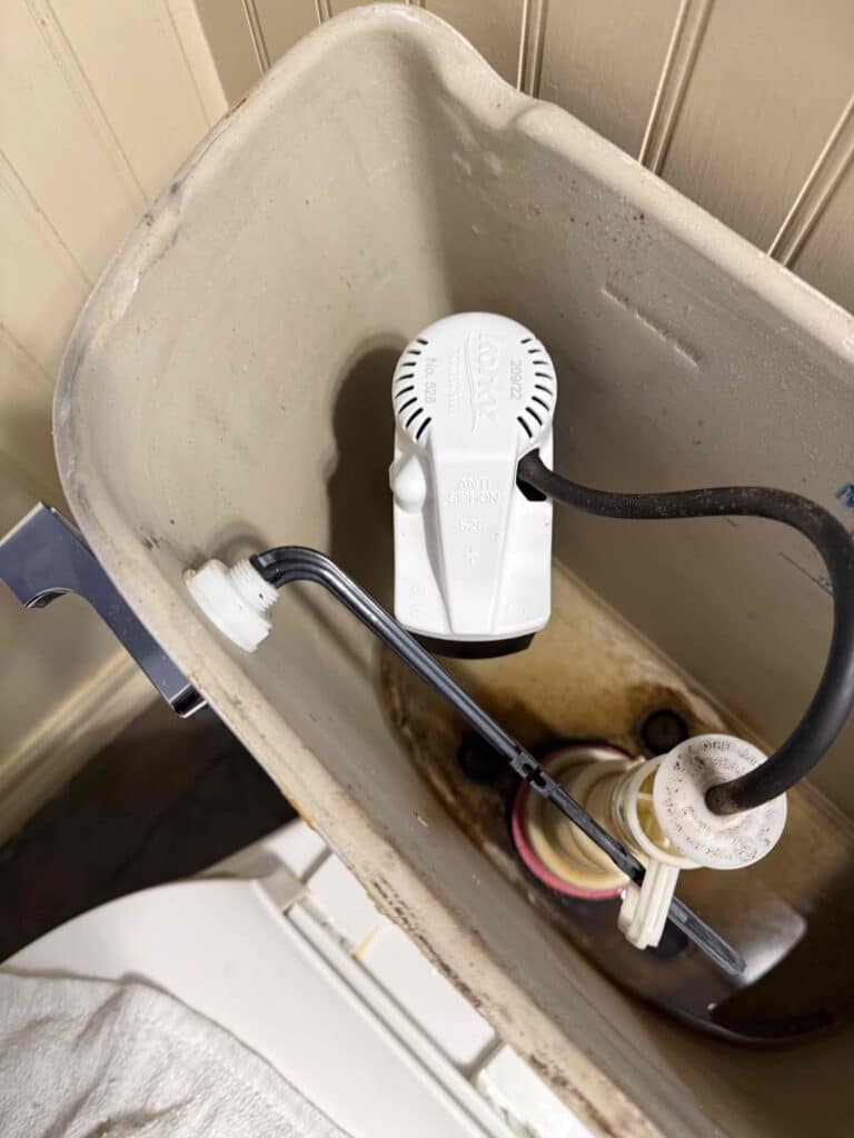 419917c9 ecdf 414e 9cf9 d53a19b9db8b cdv photo 000.