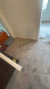 Prayer Room Wall Build-Out - Gallery image 4