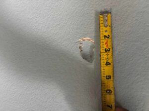 Drywall Repair & Paint - Gallery image 1