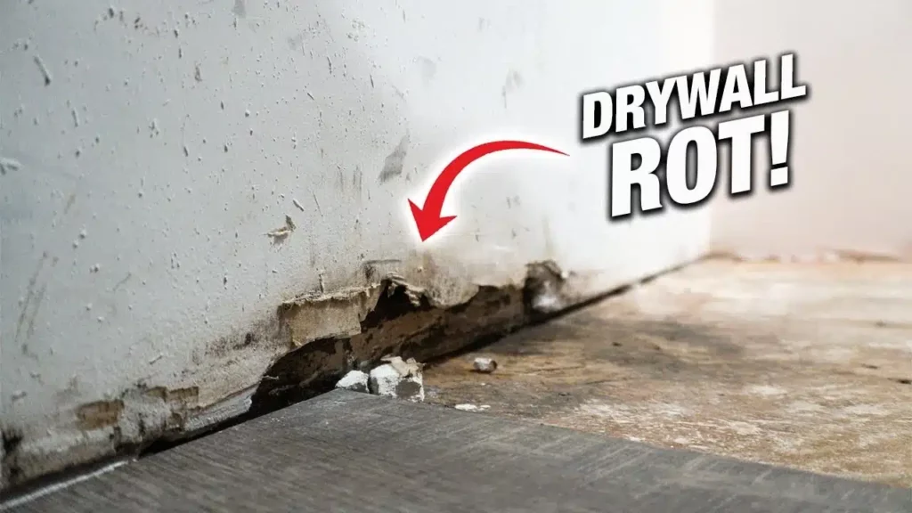 Drywall rot in a home