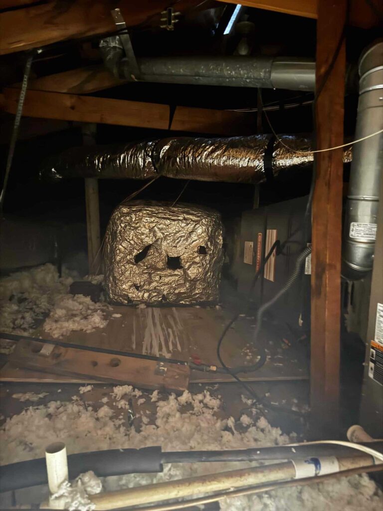 Ceiling Drywall Repair