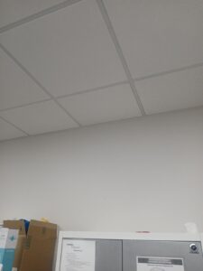 Ceiling Tile Replacement - Gallery image 1