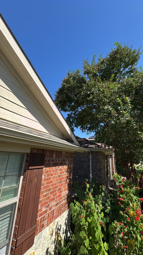 Drywall & Home Repairs