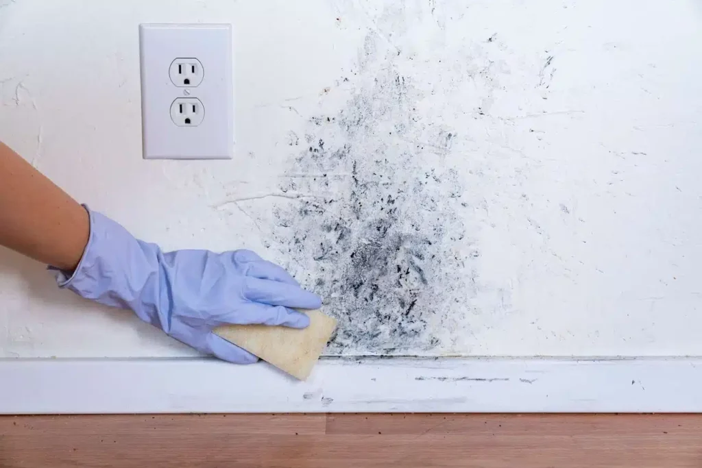 Cleaning mold off drywall by outlet