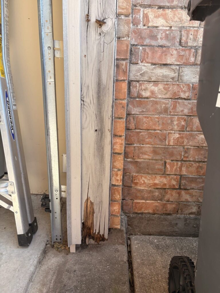 Exterior Trim & Window Repair