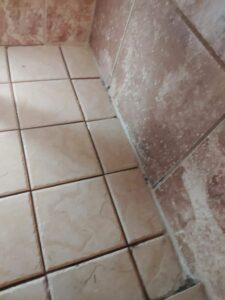 Shower Caulk Replacement - Gallery image 3