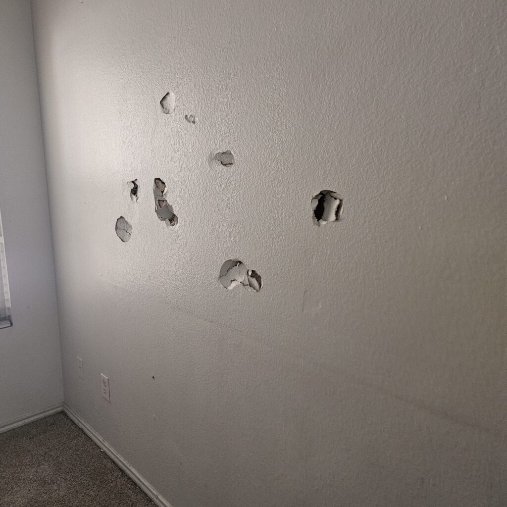 Drywall Patch & Paint