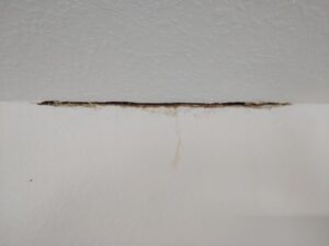 Drywall and Brick Repair - Gallery image 4