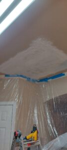 Ceiling Repair & Porch Light Upgrade - Gallery image 3