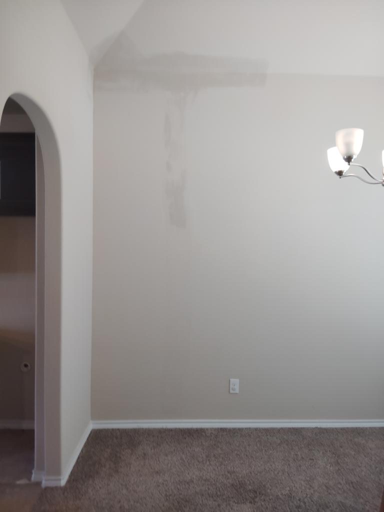 Drywall Repair & Painting