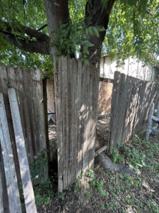 Fence Repair & Support Post Installation - Gallery image 3