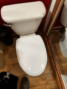 Toilet Seat & Bidet Installation - Gallery image 1