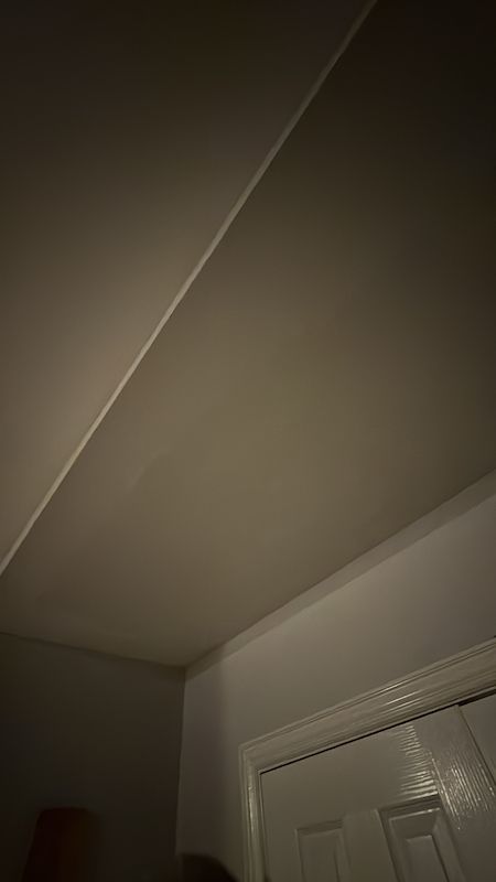 Ceiling Drywall Repair & Paint