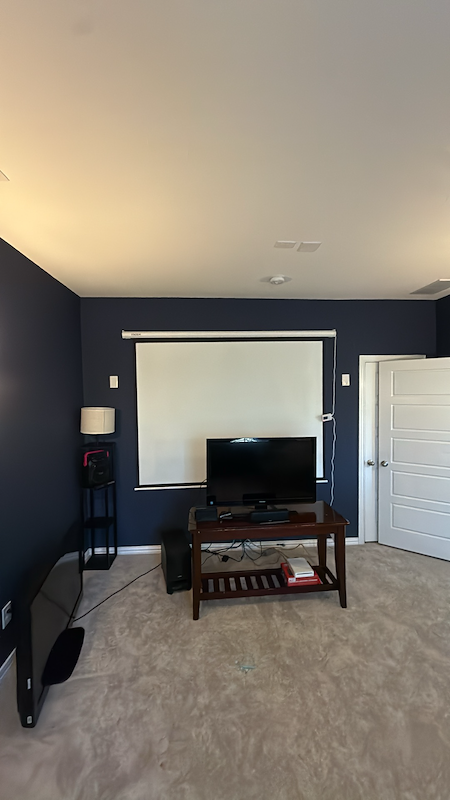 TV Mounting, Plumbing Repair & Projector Install